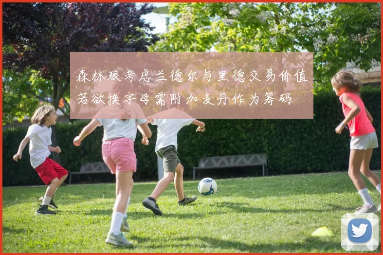 森林狼考虑兰德尔与里德交易价值若欲换字母需附加麦丹作为筹码