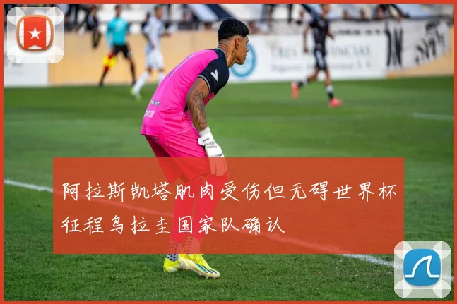 阿拉斯凯塔肌肉受伤但无碍世界杯征程乌拉圭国家队确认