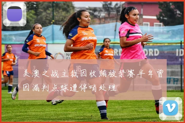 美澳之战主裁因收贿被禁赛半年曾因漏判点球遭停哨处理