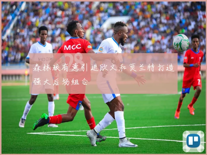 森林狼有意引进欧文和莫兰特打造强大后场组合