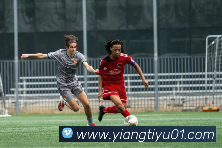 App Interface Preview